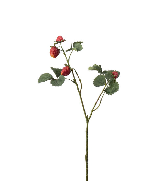 Jordbærkvist 50 cm
