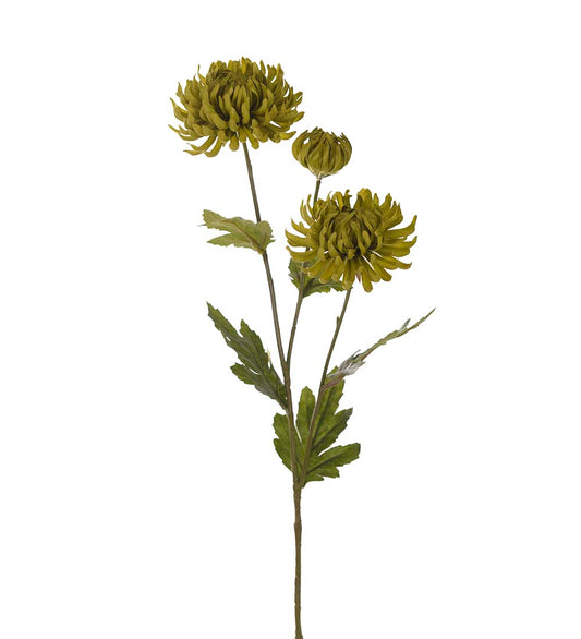Chrysanthemum green 60 cm