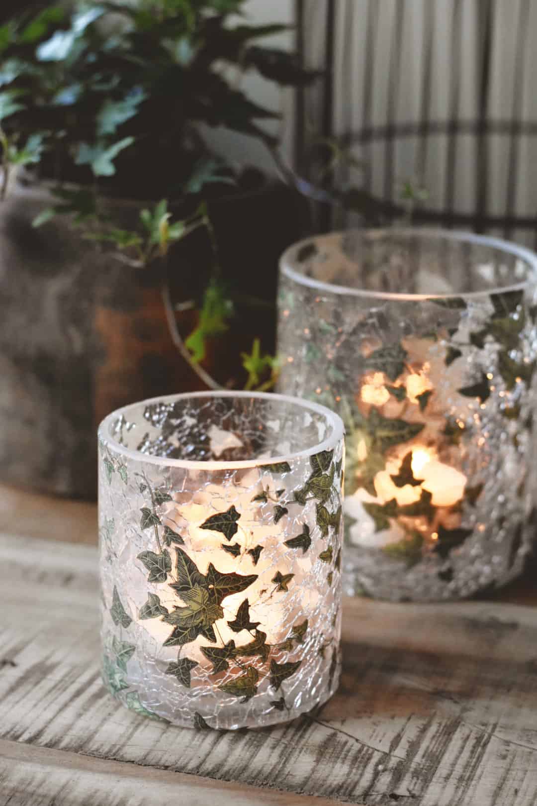 Lysglass eføy 11,5x13 cm