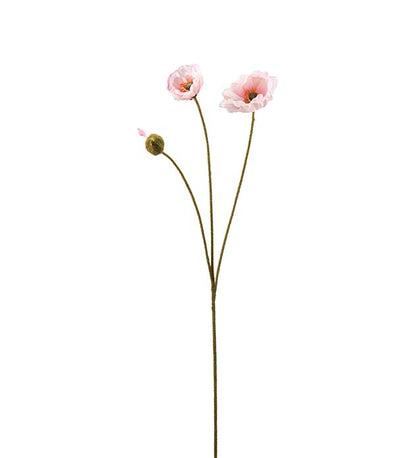 Valmue lys rosa 75 cm