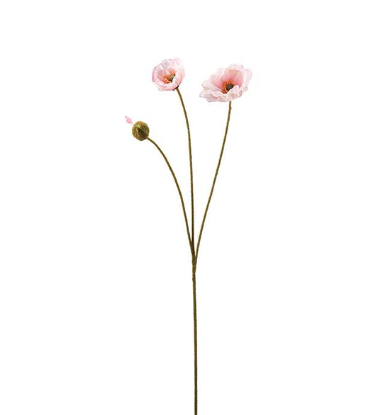 Valmue lys rosa 75 cm
