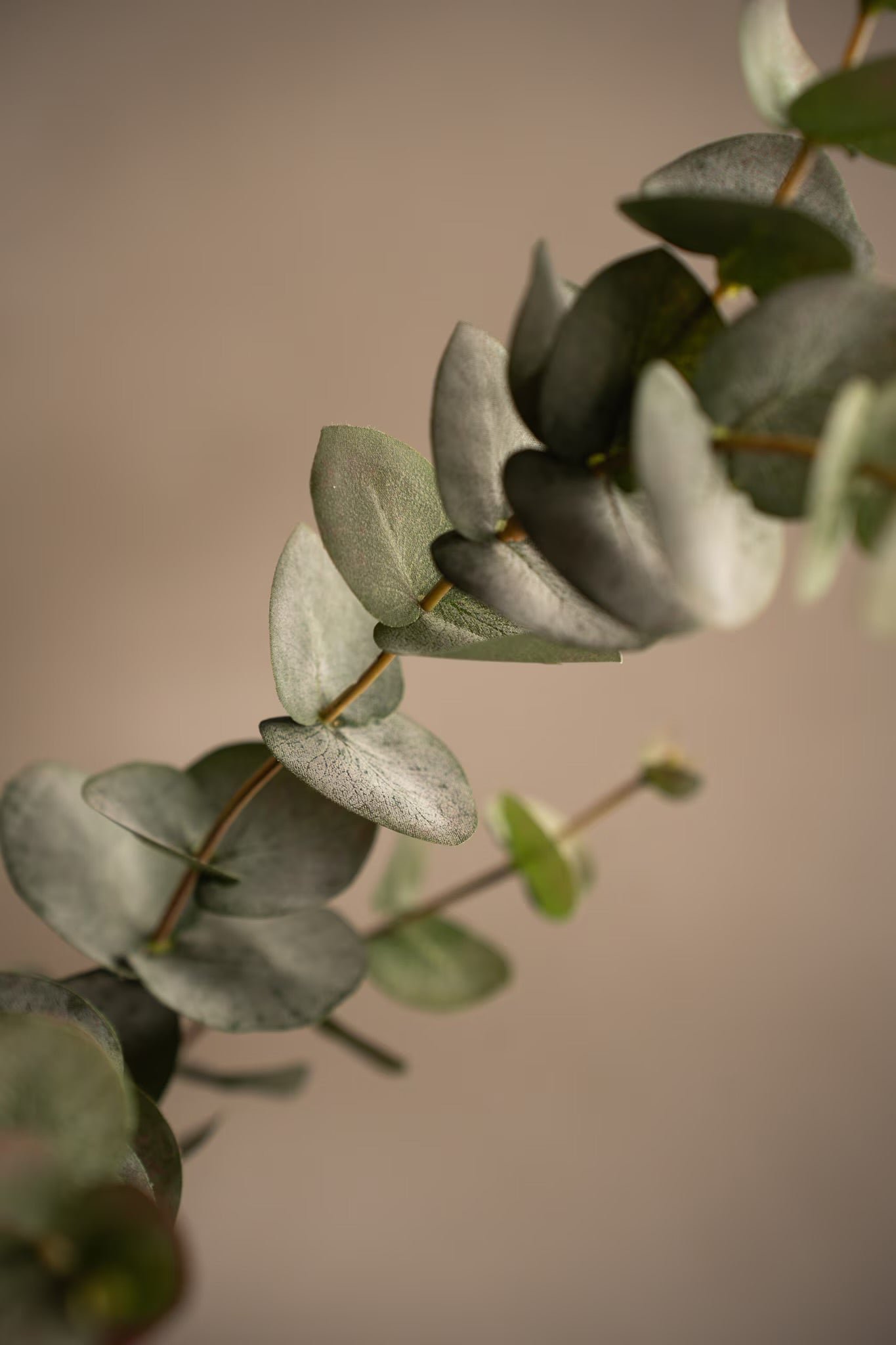 Eucalyptus grønn 80 cm