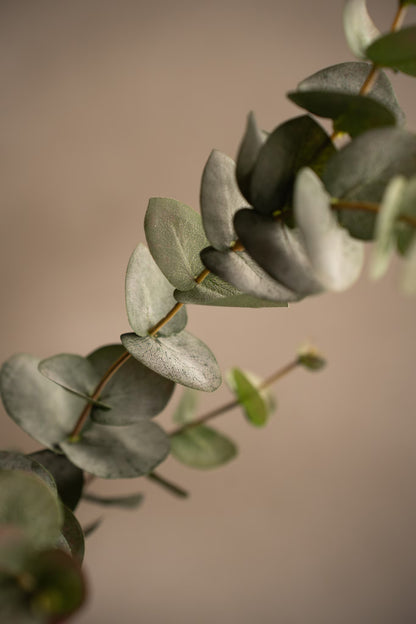 Eucalyptus grønn 80 cm