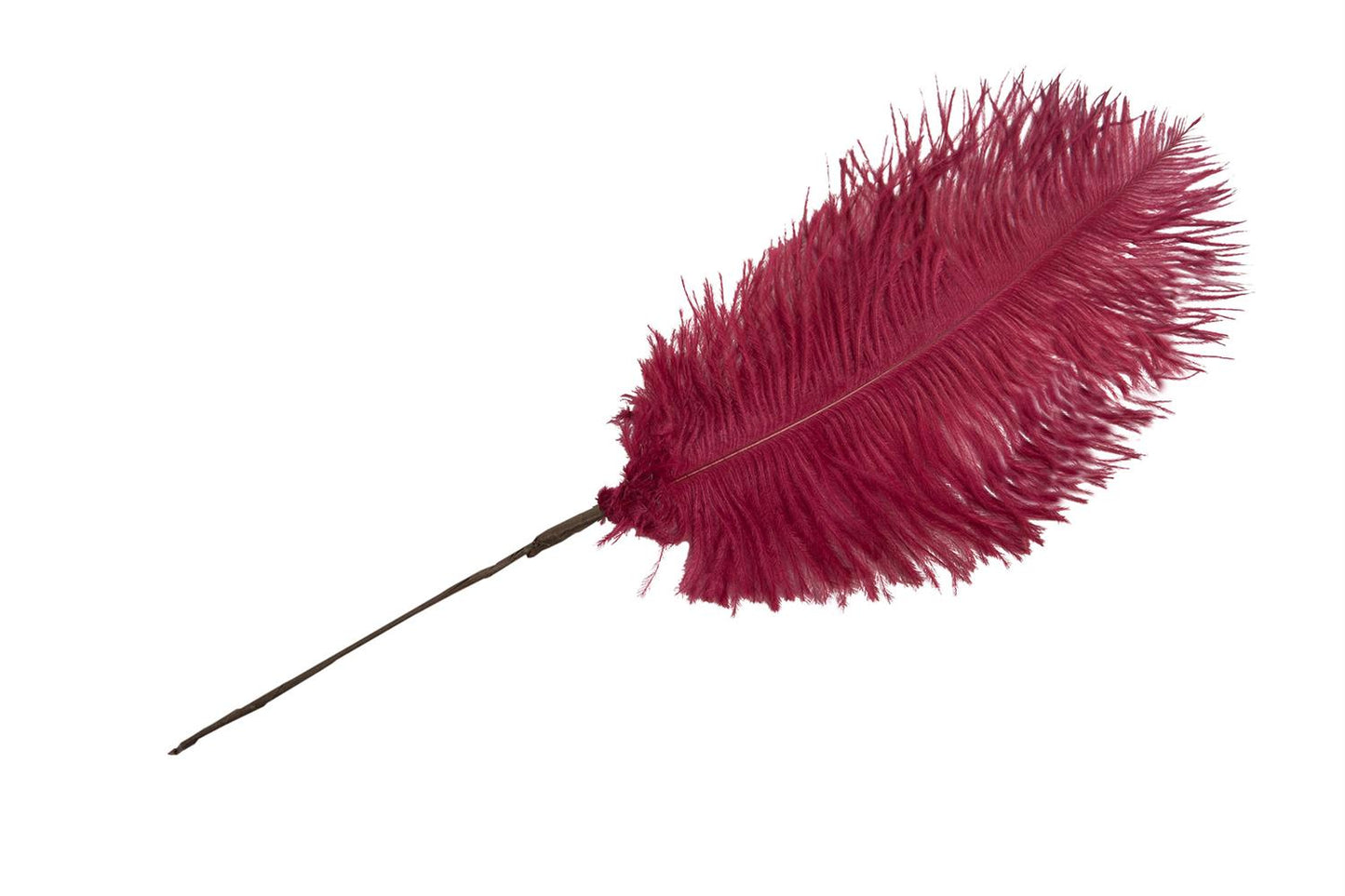 Ostrich feather wine red 30 cm