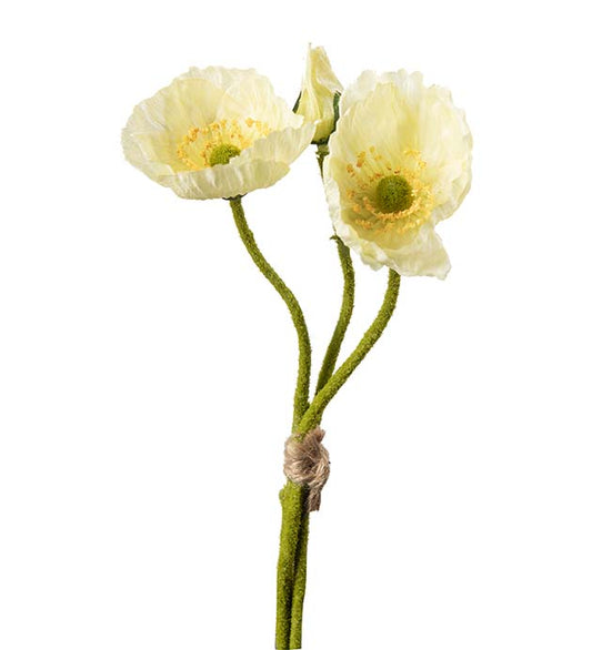 Valmue bunt gul 22 cm