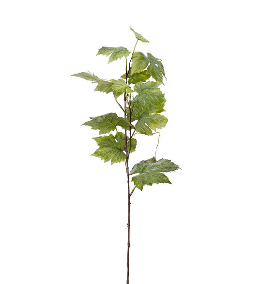 Vinranke gren 75 cm