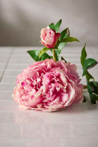 Peon lys rosa 65 cm