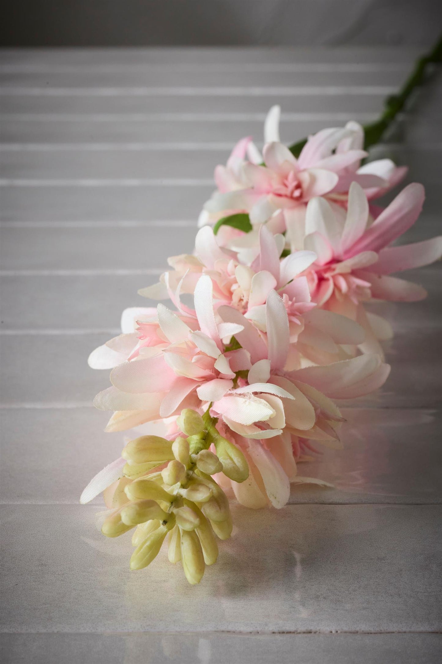 Tuberose rosa 90 cm