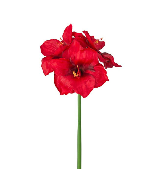 Amaryllis rød 65 cm