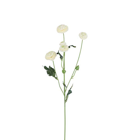 Chrysanthemum hvit 60 cm
