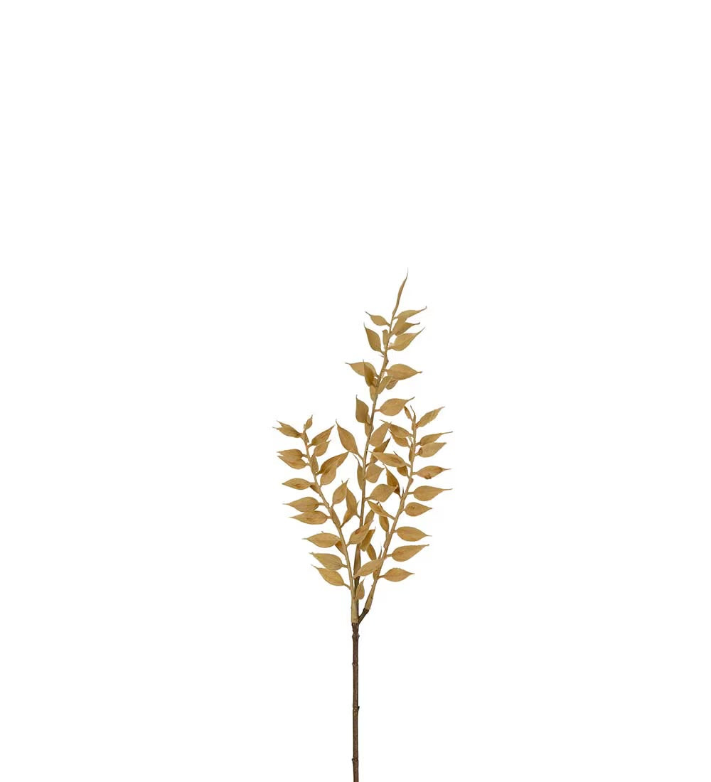 Ruscus twig beige 35 cm