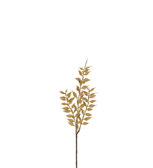 Ruscus kvist beige 35 cm