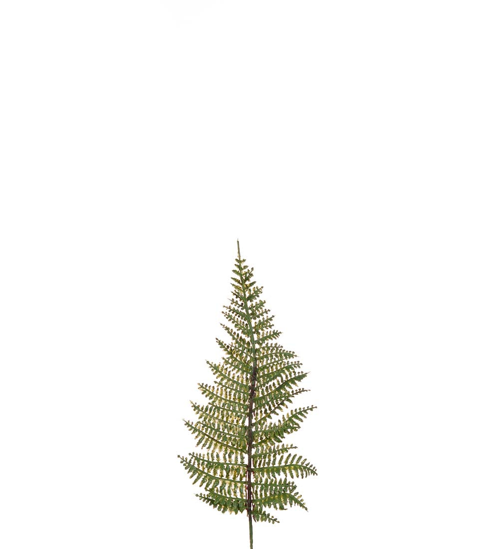 Ormeblad grønn 30 cm