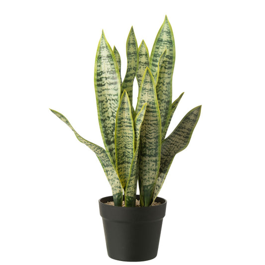 Grønn plante i potte 72 cm