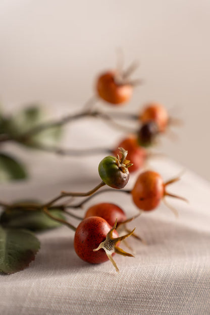Rosehip branch orange 60 cm
