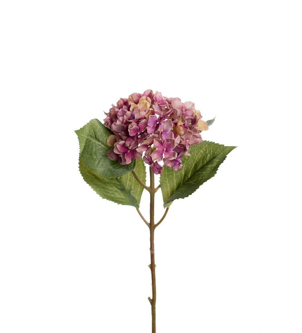 Hortensia lilla 40 cm