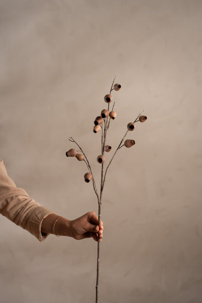 Seed pod brown 60 cm