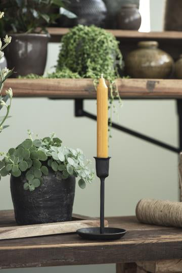 Kronelys Karri 18 cm