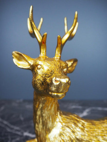 Deer lying