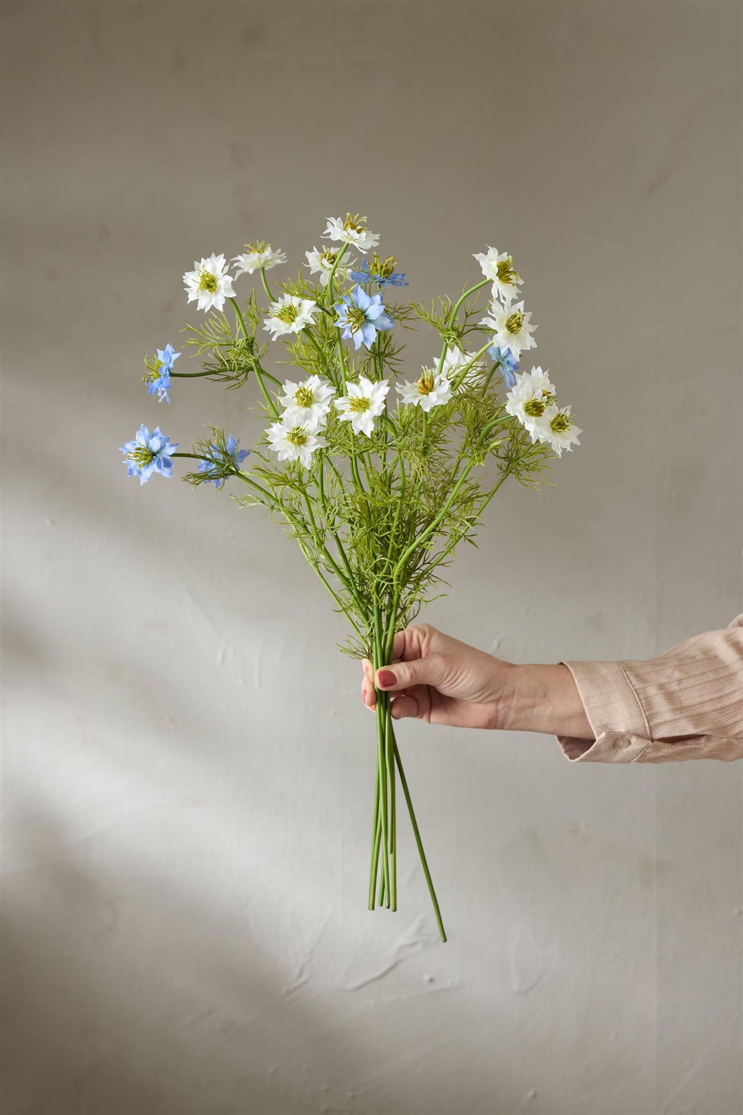 Nigella blå 60 cm