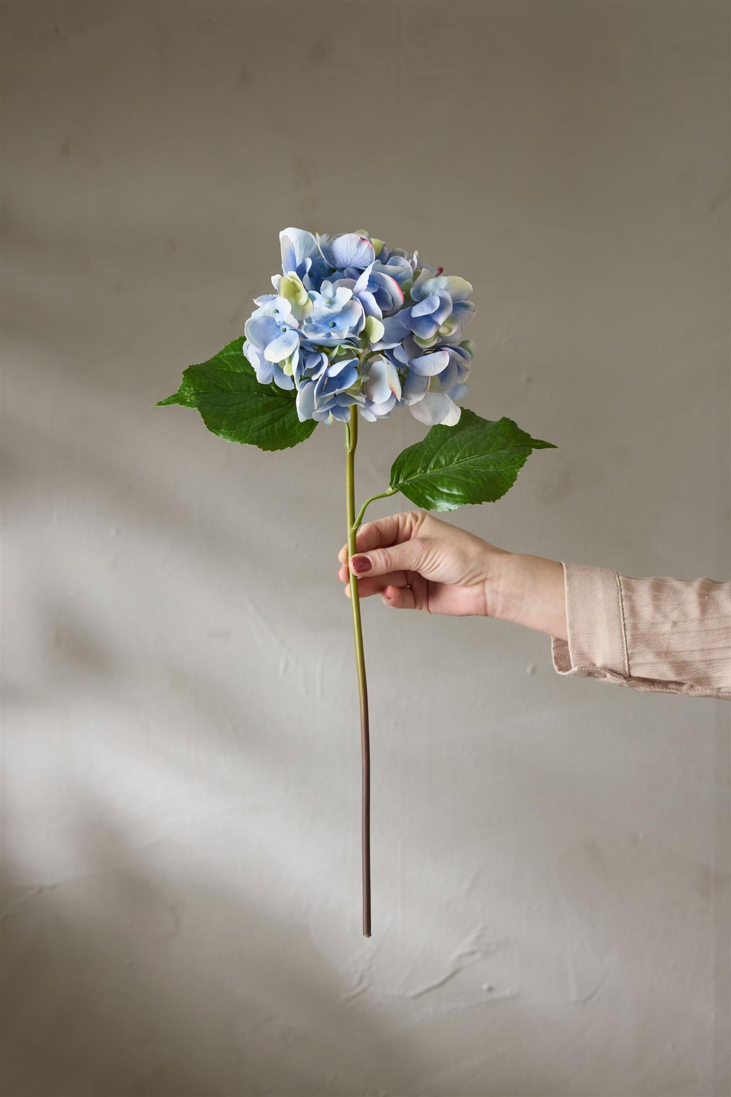 Hydrangea light blue 55 cm