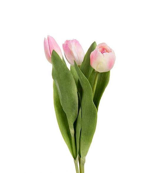 Tulipan lys rosa mix 36 cm