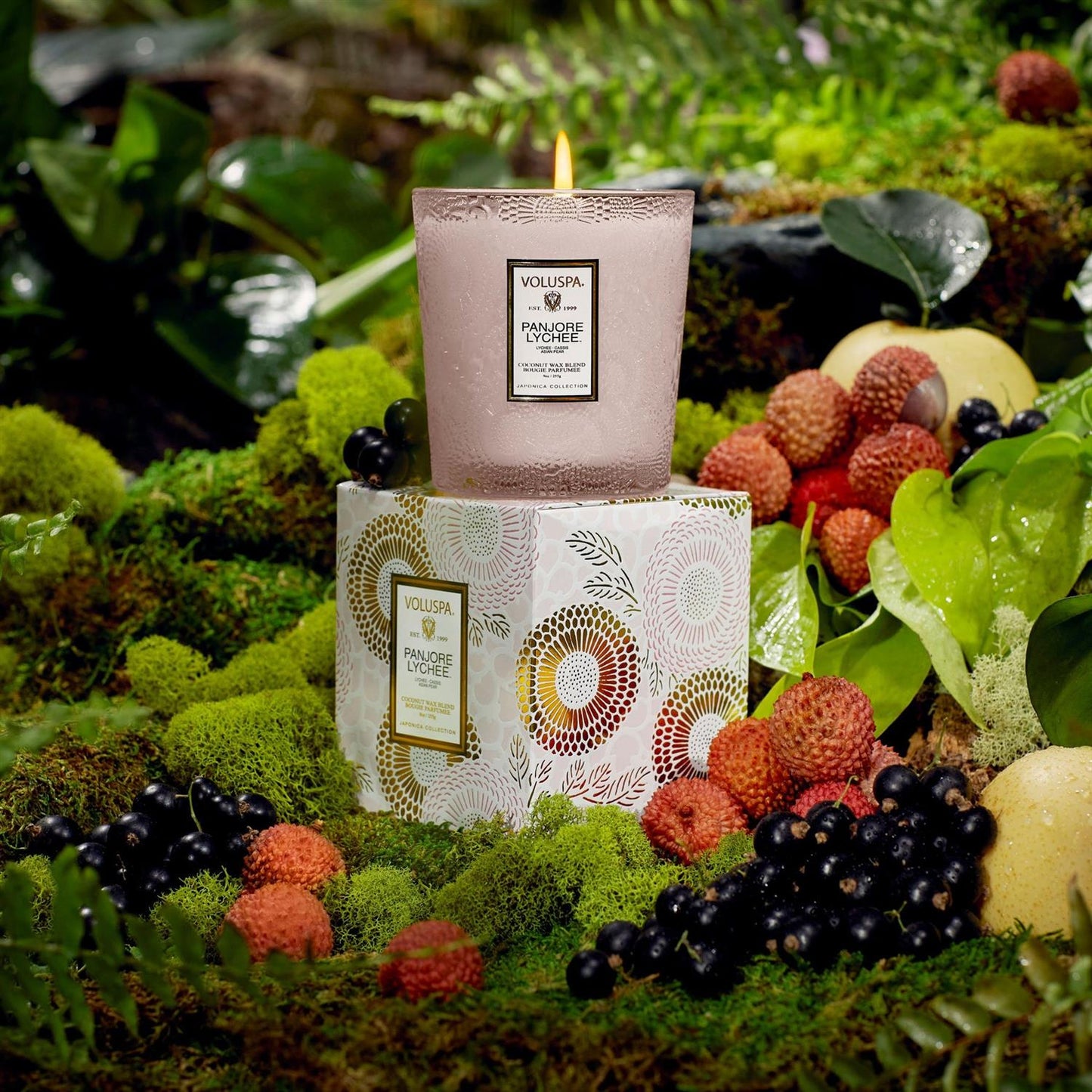 Panjore Lychee Classic Boxed Candle 60 Hours