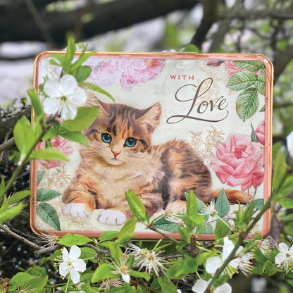 Box cat 20x15 cm