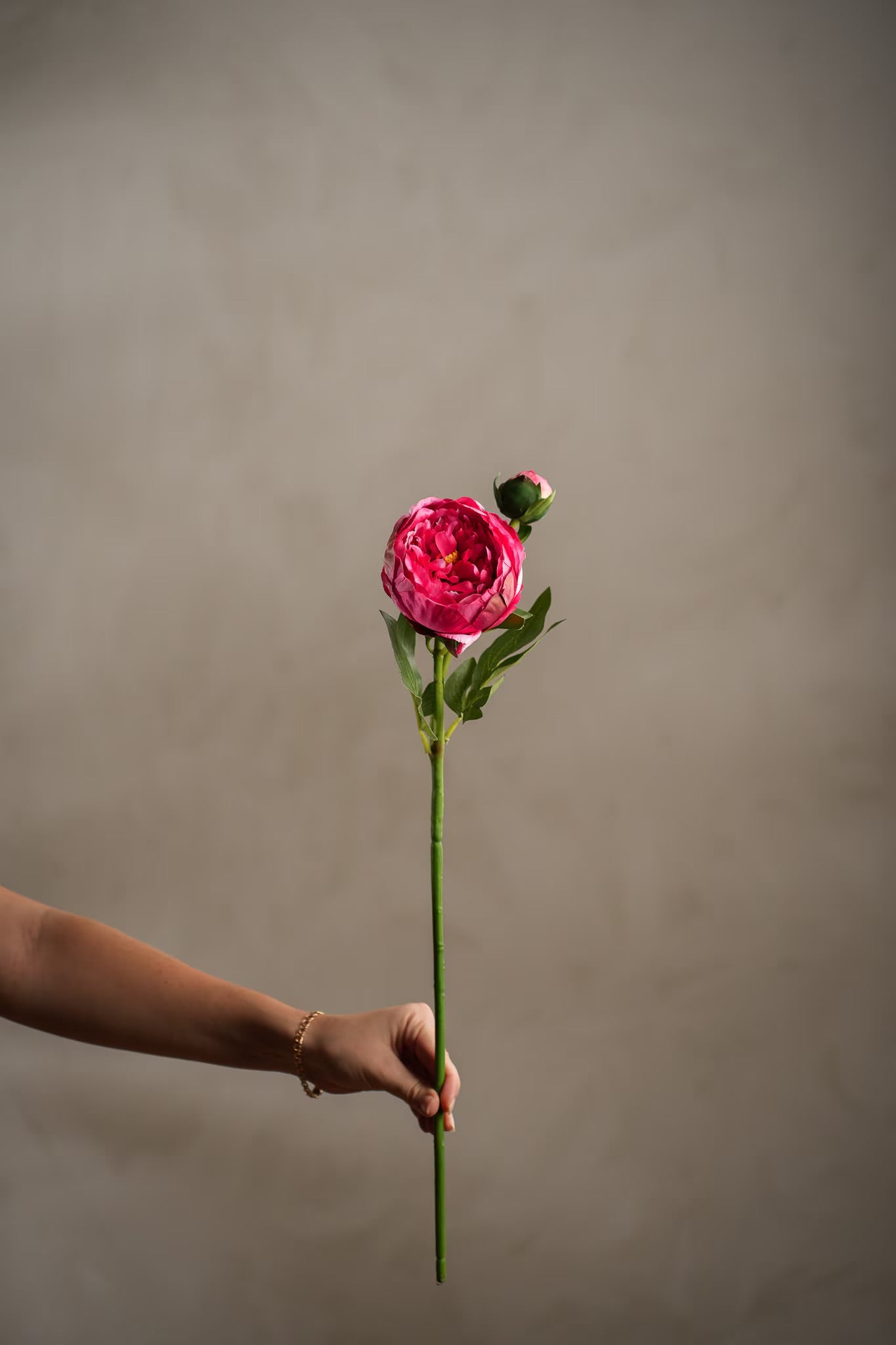 Peon fuchsia rosa 58 cm
