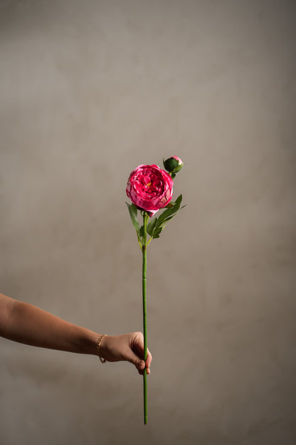 Peon fuchsia rosa 58 cm
