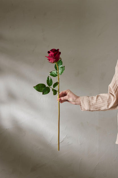 Rose burgunder 65 cm