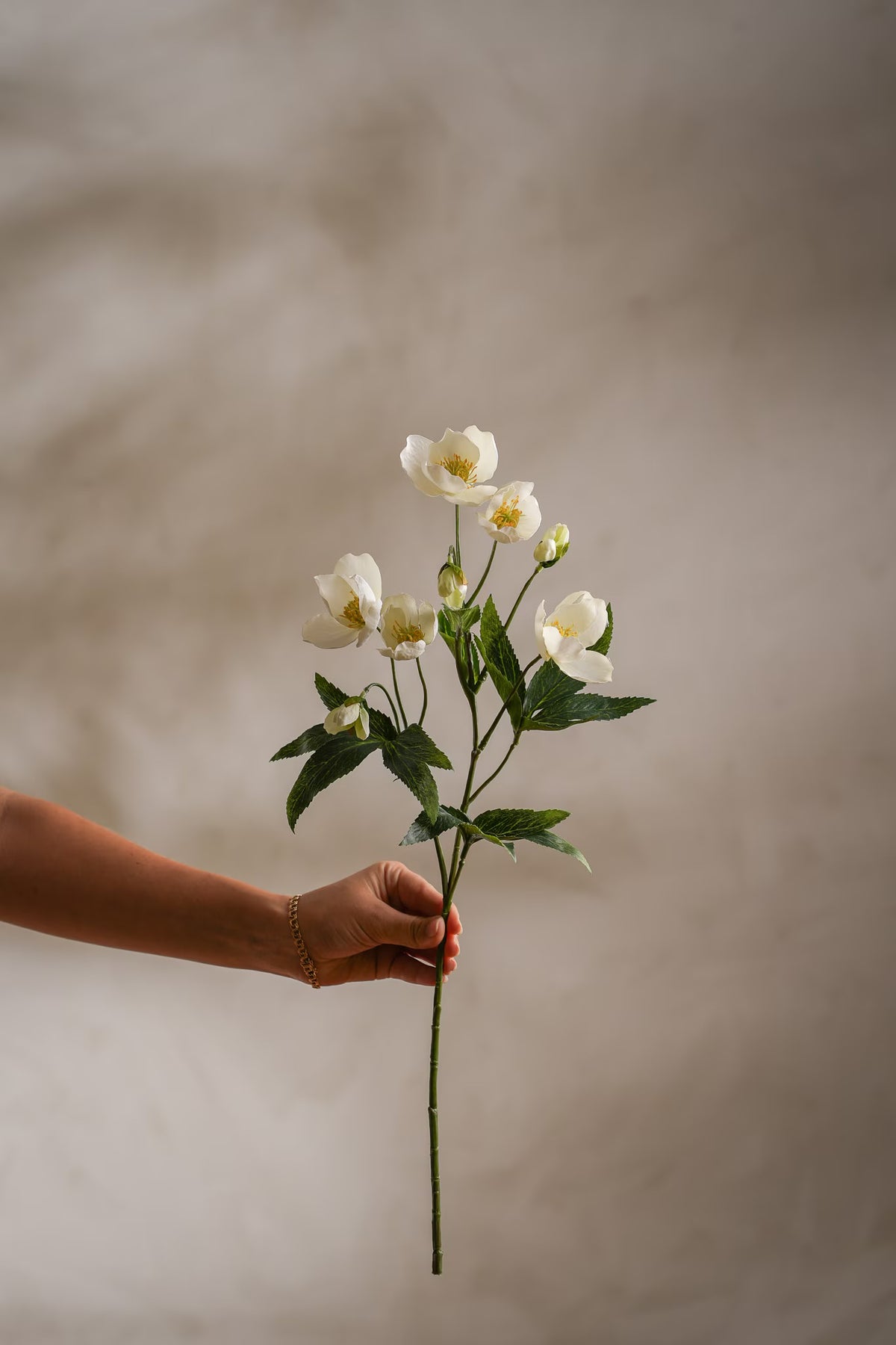 Christmas rose white 57 cm
