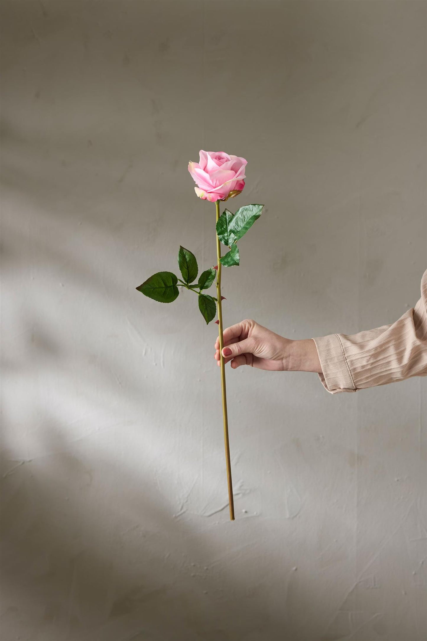 Rose rosa 65 cm