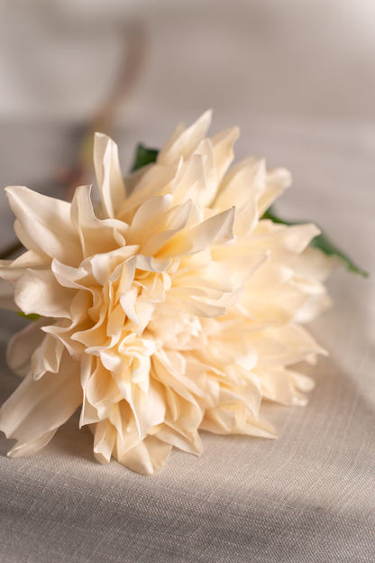 Dahlia krem 70 cm