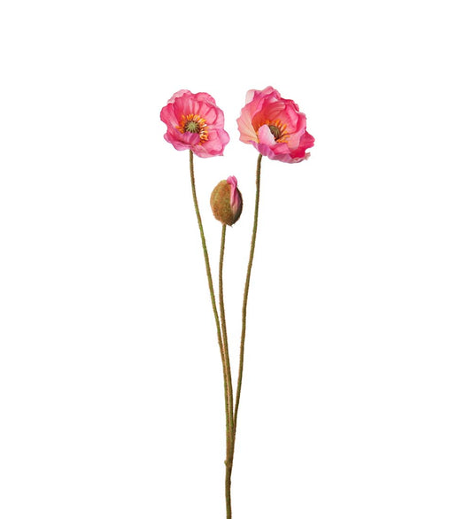 Valmue rosa 75 cm