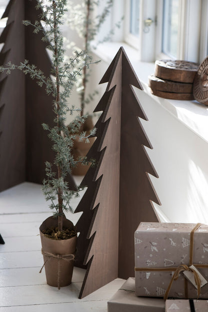 Sedertre i potte 75 cm