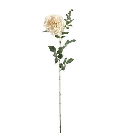 Rose yellow 90 cm