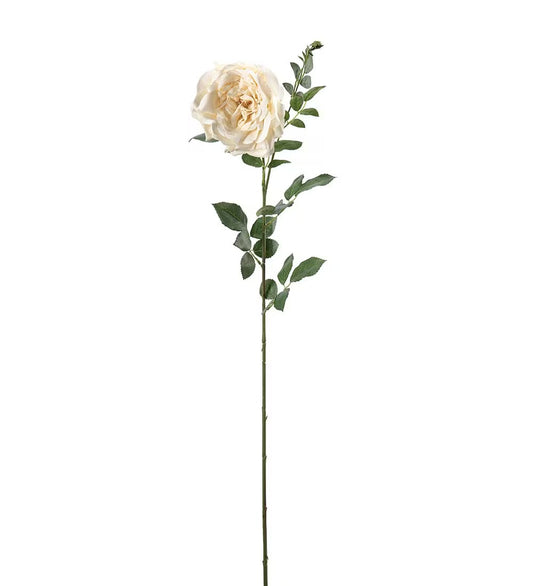 Rose gul 90 cm