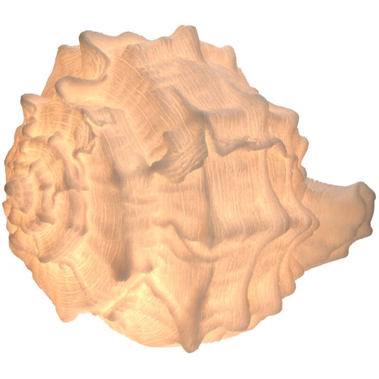 Bordlampe skjell