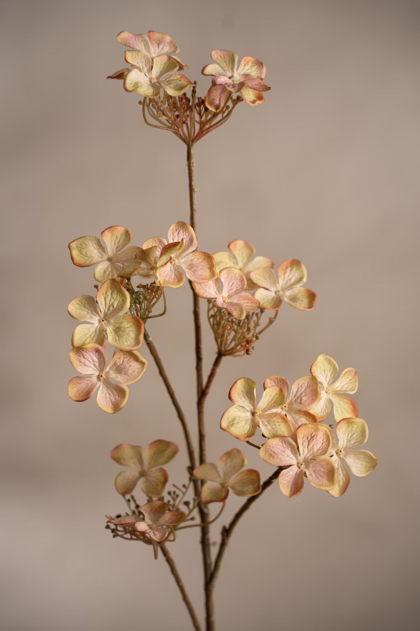 Hydrangea pink 70 cm