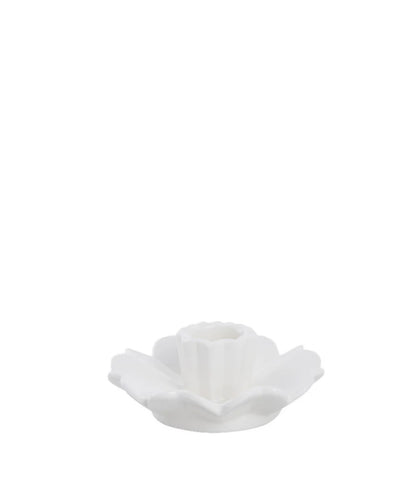 Dehmira lysestake blomst
