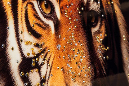 Canvas print tiger hipster 64x84 cm