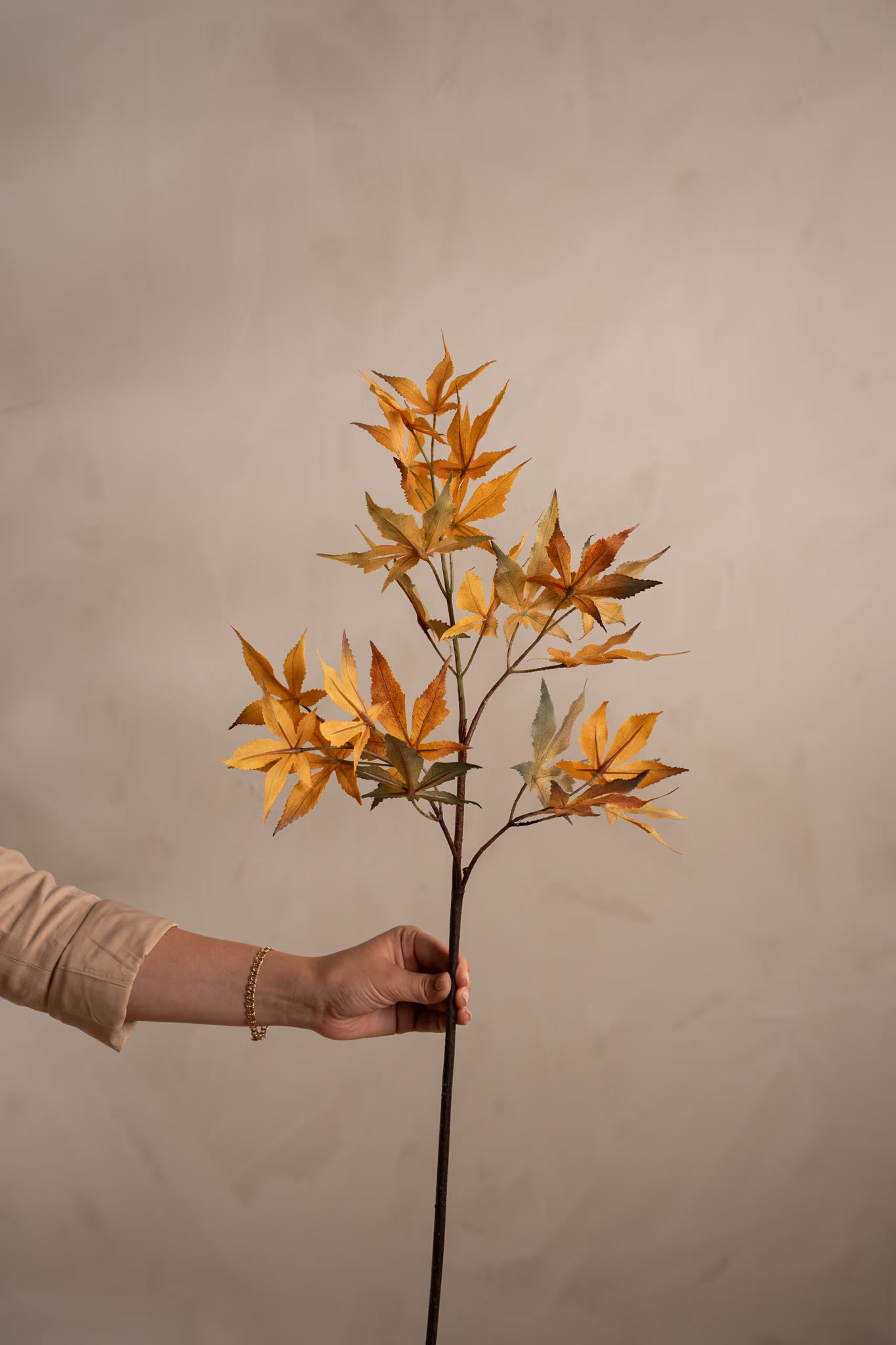 Lønn kvist oransje 72 cm