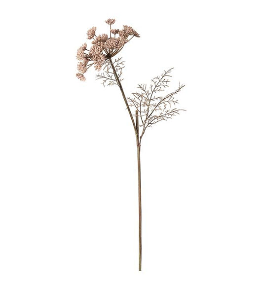 Vildmorot rosa 70 cm