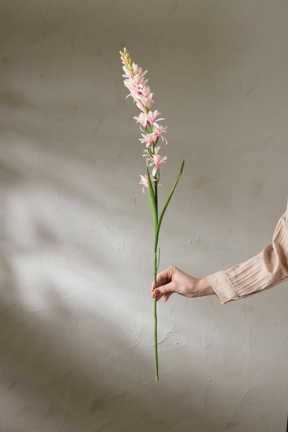 Tuberose rosa 90 cm