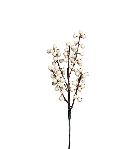 Bærkvist hvit 35 cm