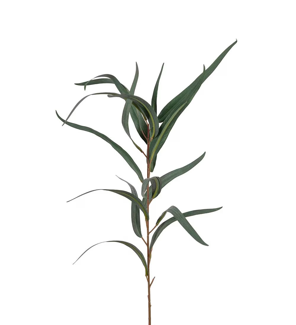 Eucalyptus grønn 60 cm