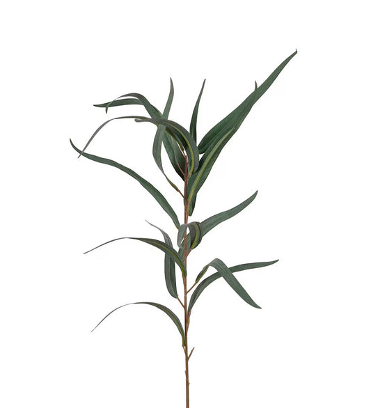 Eucalyptus grønn 60 cm