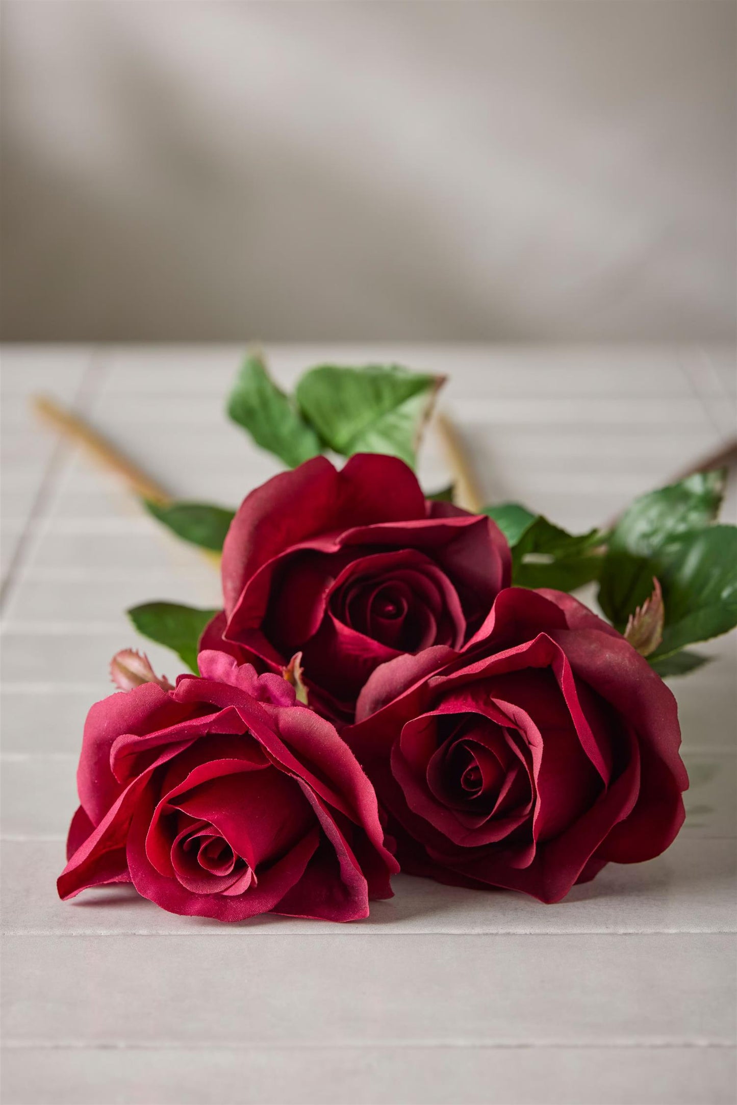 Rose burgunder 65 cm