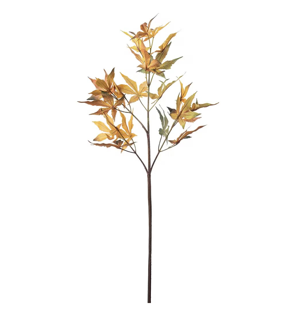 Lønn kvist oransje 72 cm
